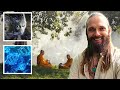 Meditation That Deprograms An Alien Slave Technology Inside The Human Organism?