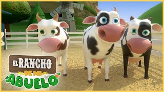 La Vaca Lola 🐄 Videos para niños 🐄 Musica para niños 🐄