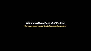 Mentahan Ccp Lirik Lagu - DANDELIONS [ free download ]😁