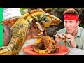 Surviving Yucatan Mexico!! Extreme Meats and Heat!!