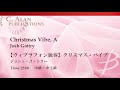 【ダイジェスト音源】ヴィブラフォン独奏：クリスマス・バイブ／ジョシュ・ゴットリー a christmas vibe by josh gottry