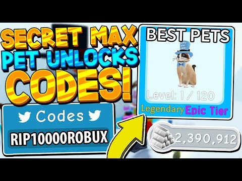 SECRET 10.000 ROBUX MAX PET CODES IN SNOWMAN SIMULATOR! *UNLOCKED EVERYTHING* Roblox
