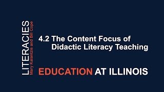 4.2 The Content Focus of Didactic Literacy Teaching