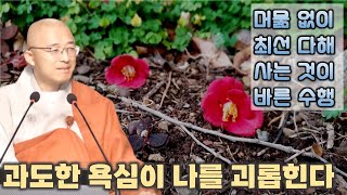 과도한 욕심이 나를 괴롭힌다 - 부처님말씀과 마음공부(4-3)