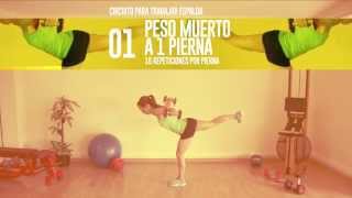 Circuito de ejercicios para trabajar Espalda | Fitness en Femenino