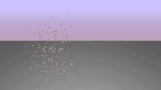 Bird Flocking Using Blender