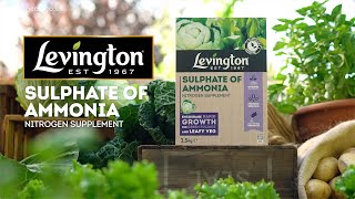 How to use Levington Sulphate of Ammonia nitrogen supplement for plants