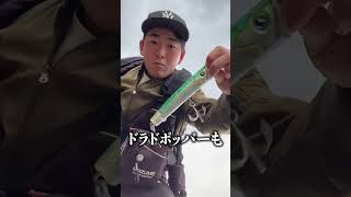 お気に入りの青物ルアー紹介！