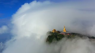 This is Mount Emei , Sichuan.  Buddhist mountain, monkey paradise!