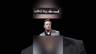 Elon muskගේ දවසක ආදායම කීයක් විතර ඇතිද #best #today #elonmusk