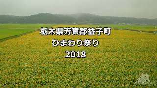 栃木県 益子町　ひまわり祭り2018　ドローン空撮