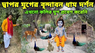 দ্বাপর যুগের বৃন্দাবন ধাম দর্শন করুন || এখনো কলির যুগ প্রবেশ করেনি || মহা জঙ্গল ময়ূর দর্শন ❓