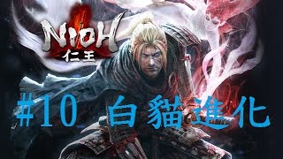 【仁王Nioh】平民向流程攻略#10 - 白貓進化