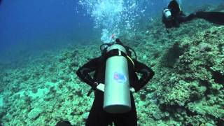 Atlantida y Prodive  Moray Gardens  Dahab, Egypt  on Vimeo