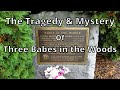 The Tragedy & Mystery of Three Babes in the Woods