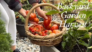 Harvest Time! Fresh Vegetables from Our Backyard Garden 🌱🍅🫛🥬