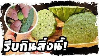 เม็ดบัว ประโยชน์ขนาดนี้ ไม่กินเสียดายมาก | Nava DIY