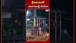 శ్రీకాకుళంలో ఎలుగుబంట్ల కలకలం | Bears Halchal | CCTV Footage live | Srikakulam |#ytshors #idtvtelugu