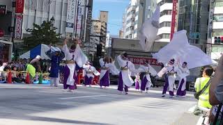 東京よさこい！人祭会