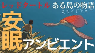 ジブリ × アンビエント | 映画 『レッドタートル ある島の物語』BGM スライドショー | 作業用・勉強用 ・睡眠用 【Studio Ghibli Slide Collection】