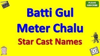Batti Gul Meter Chalu Star Cast, Actor, Actress and Director Name