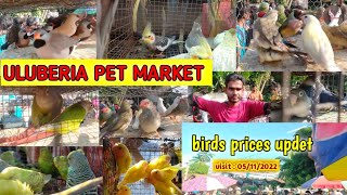 ULUBERIA PET MARKET. BIRD'S PRICES UPDET. VISIT 5th NOVEMBER. #birds #cheapestprice #birds #viral