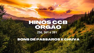 Hinos 256, 361 e 391 -  CCB Hinário 5 - Alívio para a alma