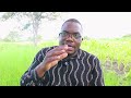 Relocating to Zimbabwe dont make this mistake