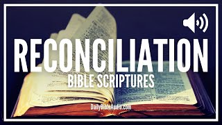 Bible Verses About Reconciliation | The Best Scriptures On Reconciliation With God