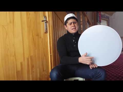 Seni Ararım 
