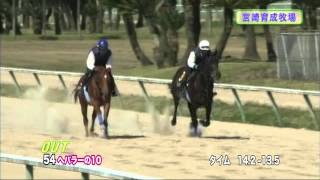 【2012育成馬展示会　調教映像】№54 ヘバラーの10