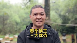 蜜蜂养殖技术分享，春季是蜂群烂子高发期应该如何避免与治疗