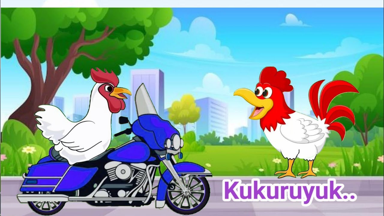 Lagu Anak Kukuruyuk ️ Ayam Kukuruyuk ️ Lagu Anak 🇲🇨 Lucu ️ Ayam ...