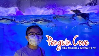 Penguin Cove & Fish Feeding | DUBAI AQUARIUM & UNDERWATER ZOO | Gentoo Penguins | Part 2 | MIKAY TV￼