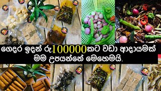 මගේ ආදායම් මාර්ග 3 ගෙදර ඉදන් කරන්න පුලුවන් හොදම ස්වයං රැකියා|මගේ පලවෙනි YOU TUBE කස්ටමර් දුන්න ඕඩරේ|