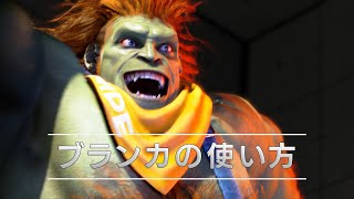 『ストリートファイター6』キャラクターガイド｜ブランカ（Blanka）