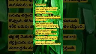 నల్లేరు ఉపయోగాలు #Cissus quadragularis #uses of nalleru #ytshorts #trending #greenknowledge #garden