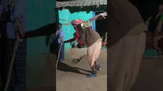 Buta Danda nritya Desi #youtubeshorts #viral #shortvideo #danda #odia #trending