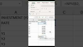 NPV (Net Present Value) - Excel