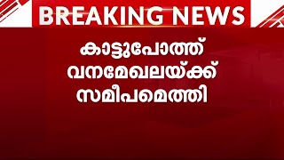 ആയൂരില്‍ ആശങ്ക ഒഴിയുന്നു; വനമേഖലയ്ക്ക് സമീപം കാട്ടുപോത്ത് എത്തി എന്ന് വനംവകുപ്പ് | Bison | Ayoor