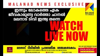 MALAYATUR NAKSHTHRA THADAKAM FEST   |MNTV NEWS LIVE #humanrights #malayalam