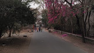 Leopards, Legacy, and Biodiversity: The Natural History of Fergusson College