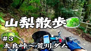 山梨散歩 #3 【GLADIUS 400】