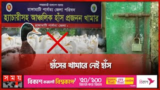 বেহাল দশা রাঙ্গামাটির হাঁস প্রজনন খামারের | Duck Breeding farm in Rangamati | Somoy TV