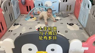 6个月的人类幼崽为了喝奶能有多拼？最后被爸爸这猪队友给气哭了