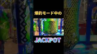 爆釣モード中のJPが最高すぎたwwww #メダルゲーム #ゲーセン #shorts #short