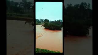 Sidaput to machhkund station🚄🚄🚄🚄 bridge🚜🚜🚜 overflow water🌌🌌🌌🌌..