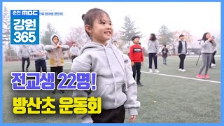 [강원365] 전교생 22명?! 마을 축제장이 된 방산초 가을 운동회