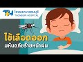 โรงพยาบาลธนบุรี : ไข้เลือดออก ภัยร้ายหน้าฝน !