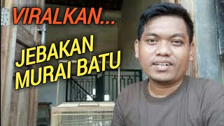 REVIEW SANGKAR JEBAKAN MURAI BATU